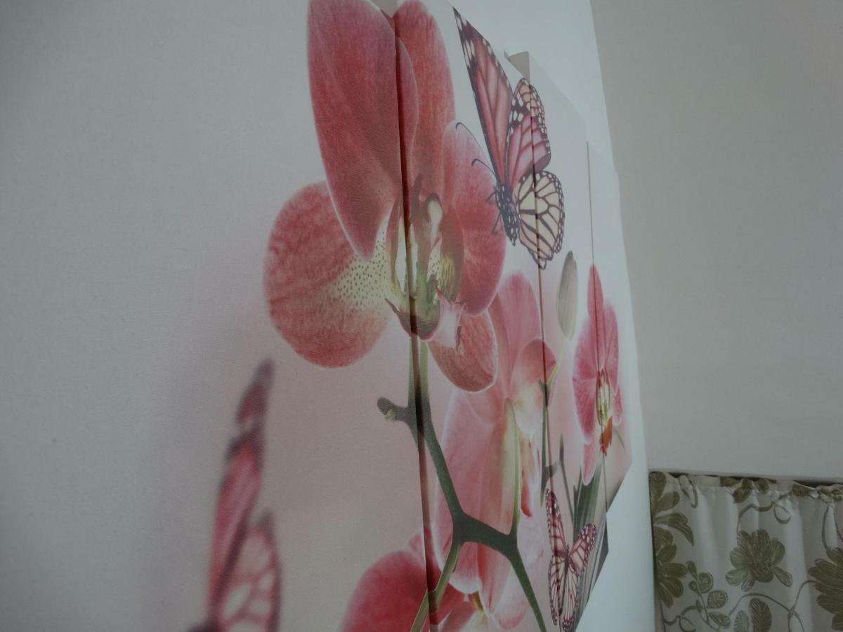 L'Orchidea 호텔 라테르자 외부 사진